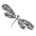 dragon-fly silhouette. Cartoon graphic illustration of damselfly isolated with black and white wings. Sketch insect