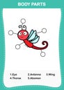 Dragon fly vocabulary part of body,Write the correct numbers of body parts