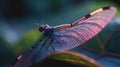 a dragon flys over a leaf in a blurry photo
