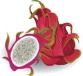 Dragon fruit