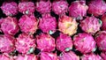 Dragon fruit alias Pitaya