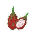 Dragon Fruit Flat Design Vector Illustration Isolated on a white background Royalty Free Stock Photo