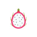 dragon fruit flat design vector illustration. Vector ripe pitahaya, juicy tropical fruit, vegetarian food, grocery product.