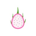 dragon fruit flat design vector illustration. Vector ripe pitahaya, juicy tropical fruit, vegetarian food, grocery product.