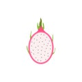 dragon fruit flat design vector illustration. Vector ripe pitahaya, juicy tropical fruit, vegetarian food, grocery product.