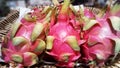 Dragon fruit