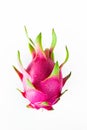 Dragon fruit fresh from the tree Royalty Free Stock Photo