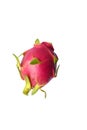 Dragon fruit fresh from the tree on isolated background - Clipping path Royalty Free Stock Photo