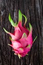 Dragon fruit fresh from the tree Royalty Free Stock Photo