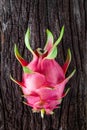 Dragon fruit fresh from the tree Royalty Free Stock Photo