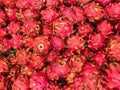 dragon fruit is a fruit that has a lot of anti-oxidants Royalty Free Stock Photo