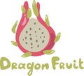 Dragon fruit. Half of the cut fruit. Ripe exotic. Isolated doodle cartoon vector illustration on white background Royalty Free Stock Photo