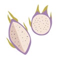 Dragon fruit icon. Half of the cut fruit. Flat illustration of dragon fruit vector icon isolated on white background Royalty Free Stock Photo