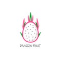 Dragon fruit icon Ripe exotic. Isolated vector illustration on white background Royalty Free Stock Photo