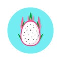 Dragon fruit icon, tropical fruit, cartoon flat icon, vector illustration isolated on white background Royalty Free Stock Photo