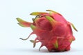 Dragon Fruit