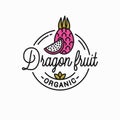 Dragon fruit logo. Round linear of dragon slice