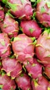 Dragon fruit Royalty Free Stock Photo