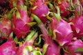 Dragon fruit piled for market