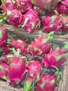 Dragon fruit pitaya pitahaya in wicker baskets in a supermarket Royalty Free Stock Photo