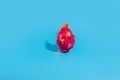 Dragon fruit or pitaya stay on isolated blue background as package design element.