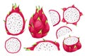 Dragon fruit set. Exotic tropical fruit pitahaya.Whole fruit, half pitahaya, slices.Exotic, tropical fruits.