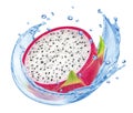 Dragon fruit slice falling into water splash isolated on white background Royalty Free Stock Photo