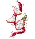 Dragon fruit slices and juice levitation with watercolor splashes and blots illustration. Juicy delicious summer food