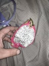 Dragon fruit tastes kinda like kinda