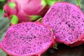 Dragon fruit, tropical fruits, Vietnam agriculture Royalty Free Stock Photo