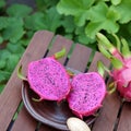 Dragon fruit, tropical fruits, Vietnam agriculture Royalty Free Stock Photo