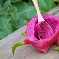 Dragon fruit, tropical fruits, Vietnam agriculture Royalty Free Stock Photo