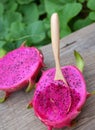 Dragon fruit, tropical fruits, Vietnam agriculture Royalty Free Stock Photo