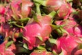 Dragon fruit at Vietnam Royalty Free Stock Photo