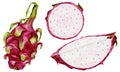 Dragon fruit watercolor set. Exotic pitahaya whole and cut into slices with seeds on an isolated white background. Hand Royalty Free Stock Photo