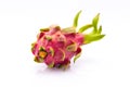 Dragon fruit