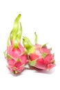 Dragon fruit white background closeup detail Royalty Free Stock Photo