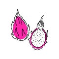 Dragon fruit is whole and half. Summer tropical fruits, flat icon . Sketch of a vector illustration on a white Royalty Free Stock Photo