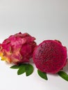 Dragon fruits isolared on thr white background