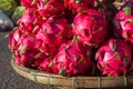 Dragon fruits at the market, Vietnam Royalty Free Stock Photo