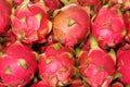 Dragon fruits Royalty Free Stock Photo