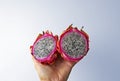 Dragon fruits, Pitaya or Pitahaya on hand in a bright background Royalty Free Stock Photo