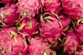 dragon fruits for sale Royalty Free Stock Photo