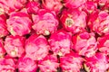 Dragon fruits selling at local Thai market Royalty Free Stock Photo