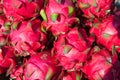 Dragon fruits, Vietnam Royalty Free Stock Photo