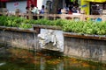 A dragon head carved from stone is used to spray water, and a large number of koi fish gather under the water