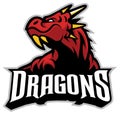 Dragon head mascot Royalty Free Stock Photo