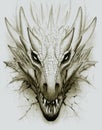 Dragon head pencil drawing Royalty Free Stock Photo