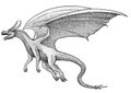 Dragon illustration, drawing, engraving, ink, line art, vector