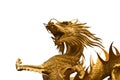 Dragon image Royalty Free Stock Photo